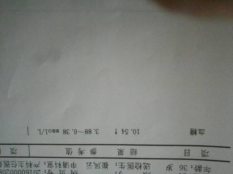 journal_insert_pic_704823580