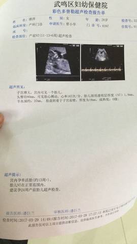 journal_insert_pic_705177670