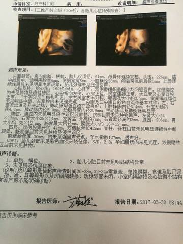 journal_insert_pic_705351004