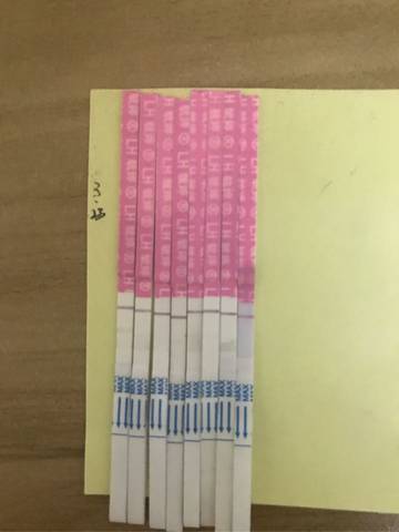 journal_insert_pic_705683345