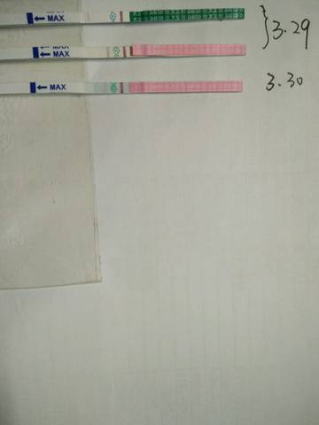 journal_insert_pic_705691600