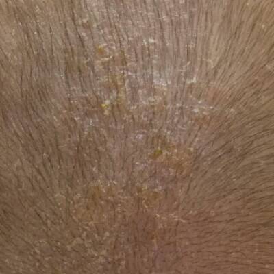 journal_insert_pic_705177762