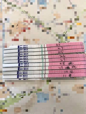 journal_insert_pic_706081815