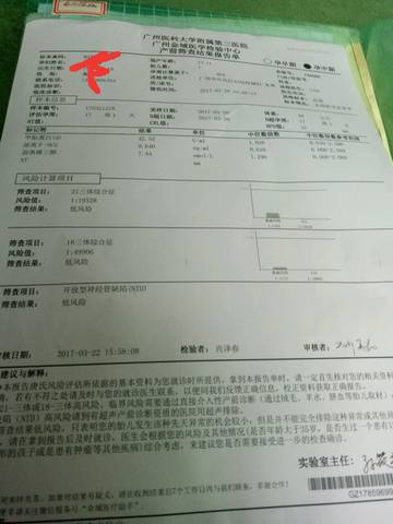 journal_insert_pic_706301094