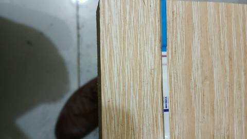 journal_insert_pic_706940313