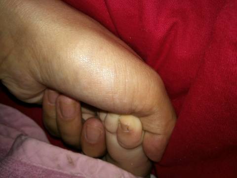 journal_insert_pic_707200630