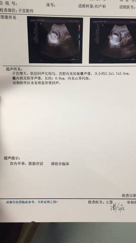 journal_insert_pic_706784125
