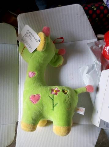 journal_insert_pic_707831571