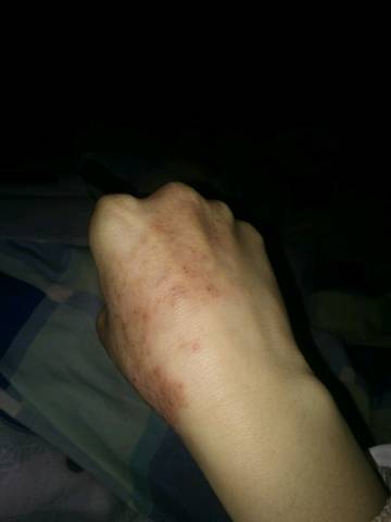 journal_insert_pic_707796290