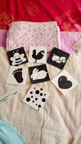journal_insert_pic_709376678