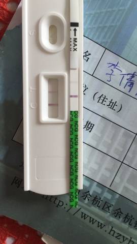 journal_insert_pic_709377717