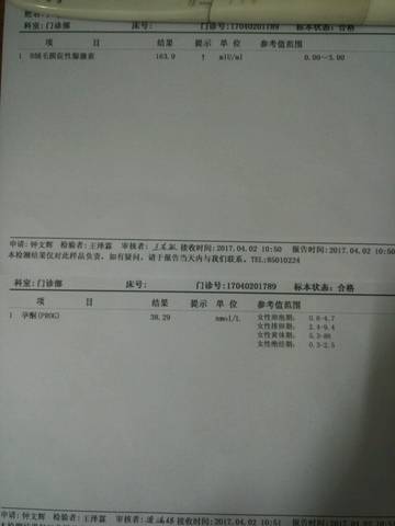 journal_insert_pic_711553456
