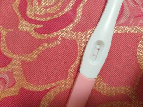 journal_insert_pic_710970684
