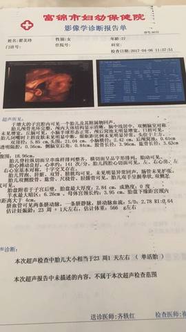 journal_insert_pic_711212590