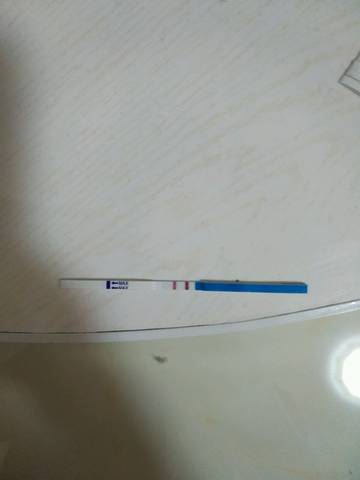 journal_insert_pic_711575237