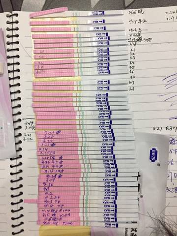 journal_insert_pic_711428460