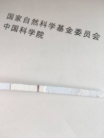 journal_insert_pic_711780887
