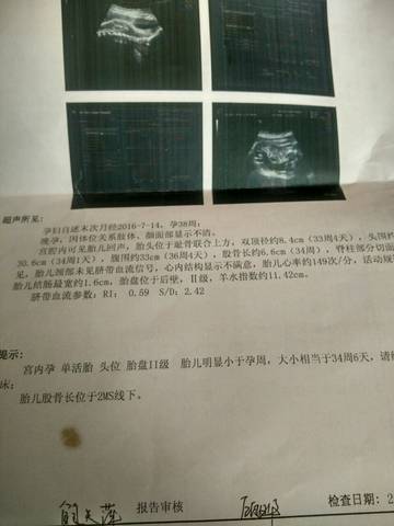 journal_insert_pic_712151429