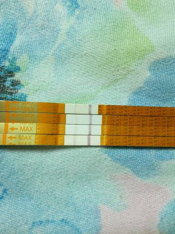 journal_insert_pic_713725929