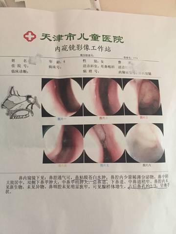 journal_insert_pic_713653738