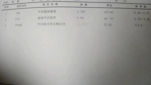 journal_insert_pic_714354412