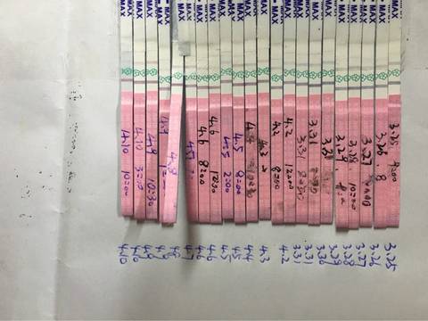 journal_insert_pic_715068944