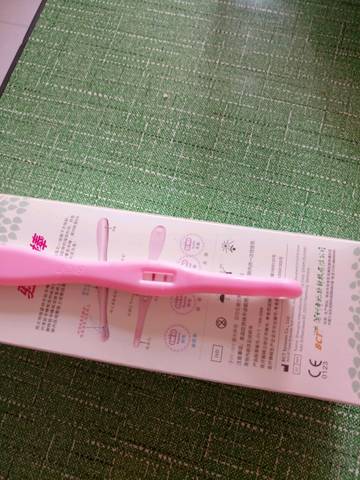 journal_insert_pic_715800137