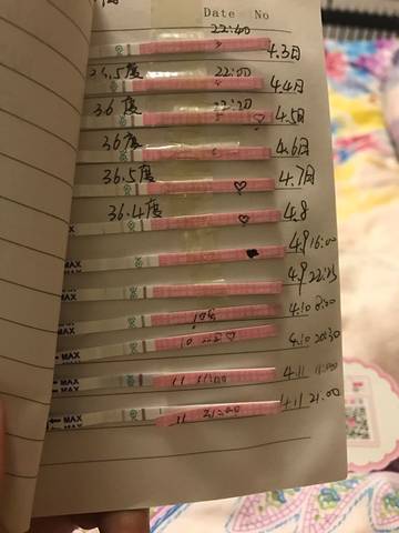 journal_insert_pic_715849054