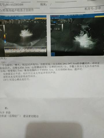 journal_insert_pic_716227336