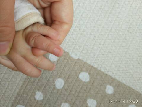 journal_insert_pic_717872836