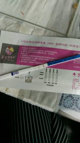 journal_insert_pic_718182577