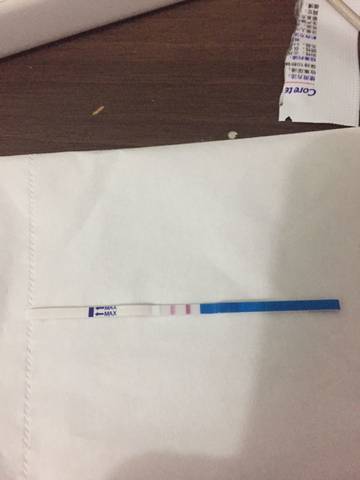 journal_insert_pic_717635500