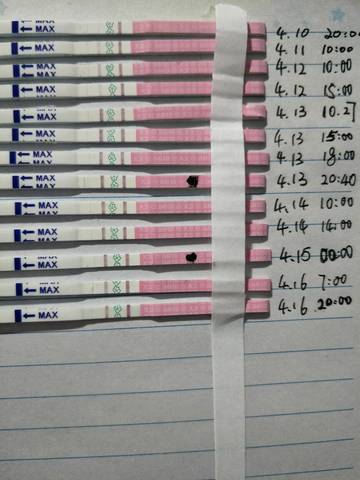 journal_insert_pic_718947397