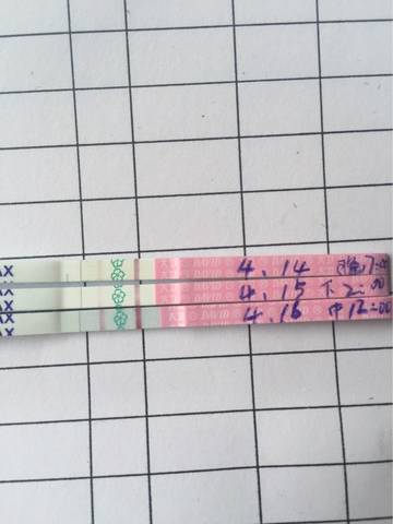 journal_insert_pic_719408074
