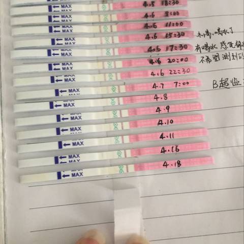 journal_insert_pic_721044652