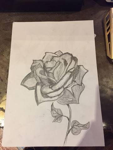 journal_insert_pic_721179414