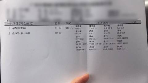 journal_insert_pic_722159883