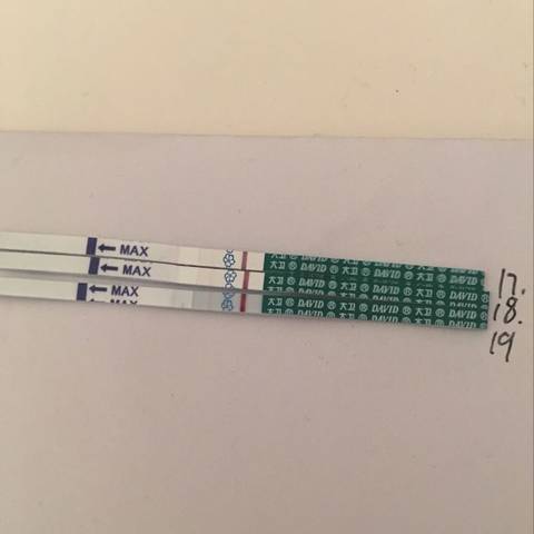 journal_insert_pic_721679400