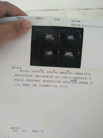 journal_insert_pic_721953120
