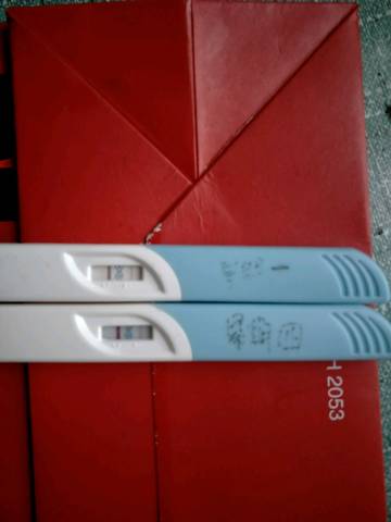 journal_insert_pic_722463348