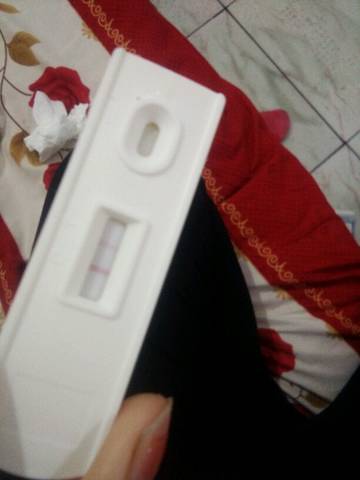journal_insert_pic_722876562