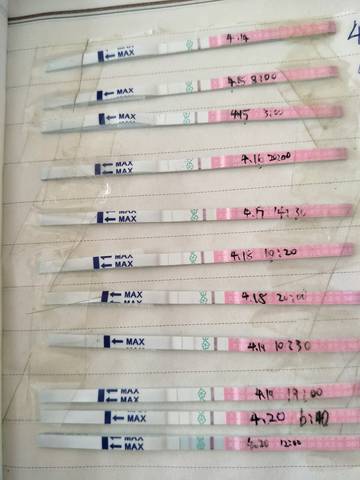 journal_insert_pic_722672183