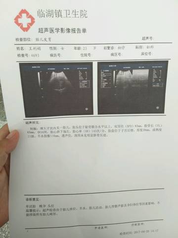 journal_insert_pic_722928916