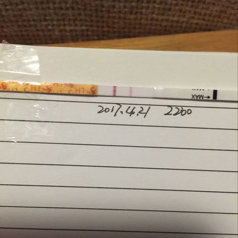 journal_insert_pic_723826771