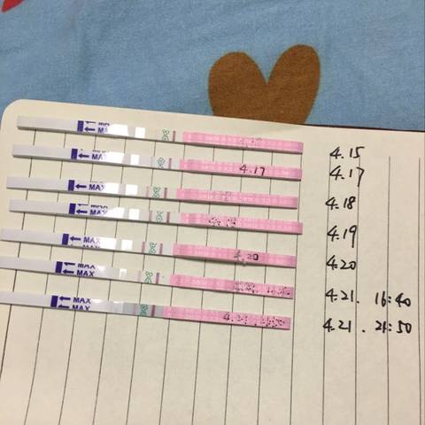 journal_insert_pic_723818033