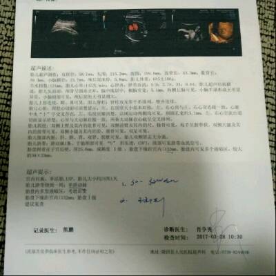 journal_insert_pic_723701241