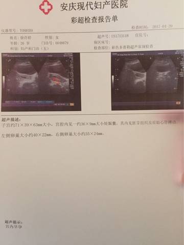 journal_insert_pic_723527344