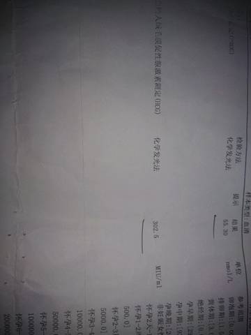 journal_insert_pic_724345830