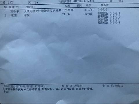 journal_insert_pic_725184342
