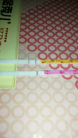 journal_insert_pic_725261650